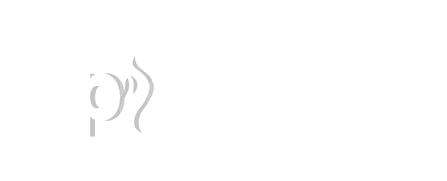 SpiceBytz Logo